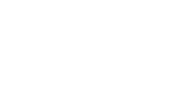VAIL Logo